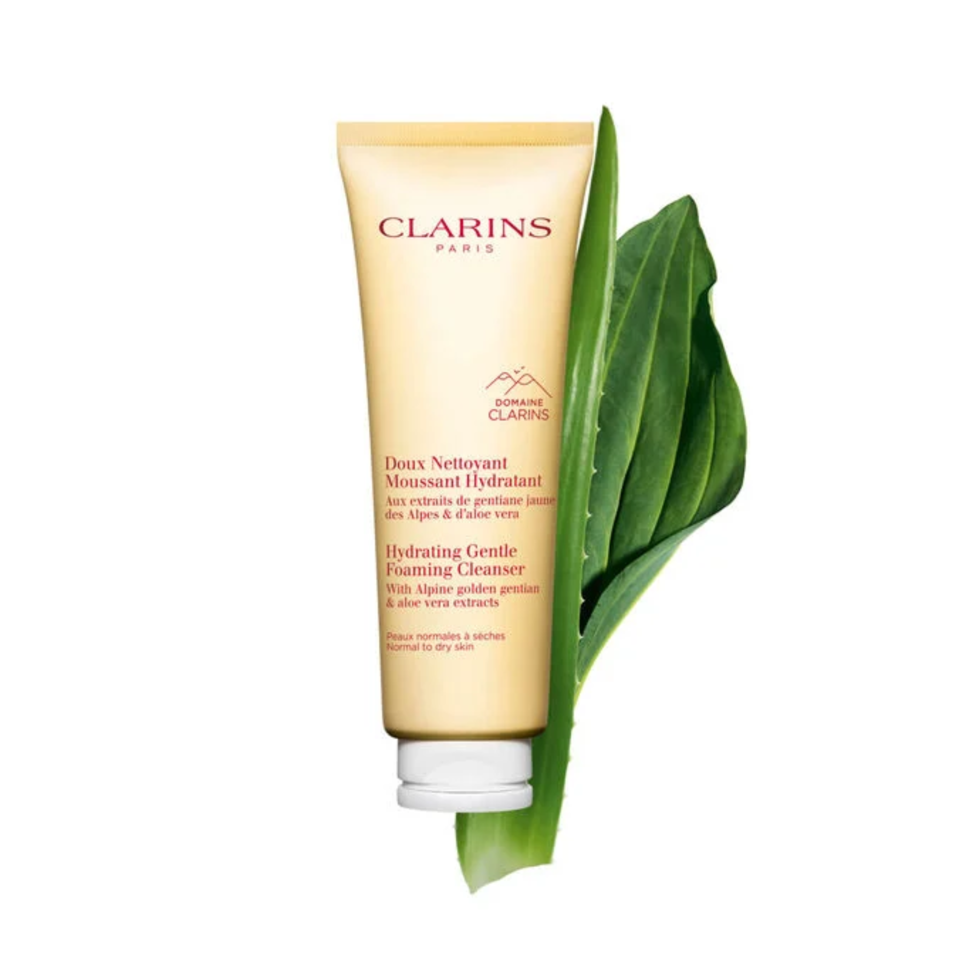 Gentle Foaming Cleanser